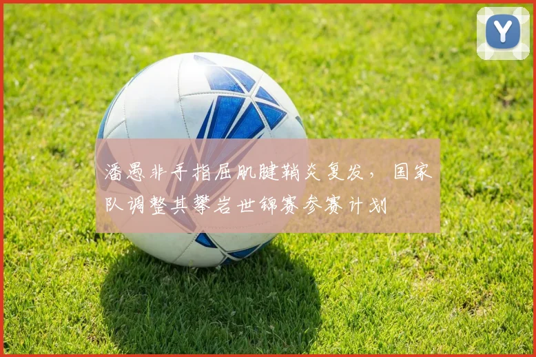 潘愚非手指屈肌腱鞘炎复发，国家队调整其攀岩世锦赛参赛计划
